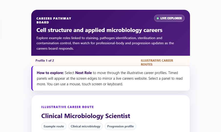 Preview of the Careers Explorer block